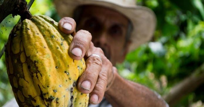 Quinta produtora de alimentos orgânicos contrata apenas pessoas sem-abrigo