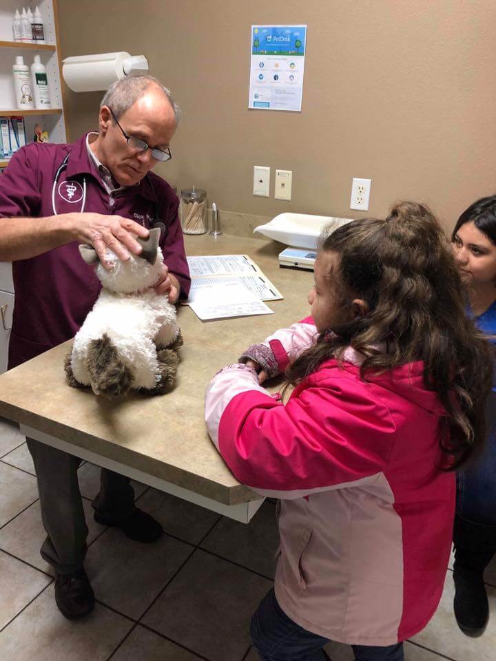 sabiaspalavras.com - Veterinário trata gato de peluche "doente" de menina autista