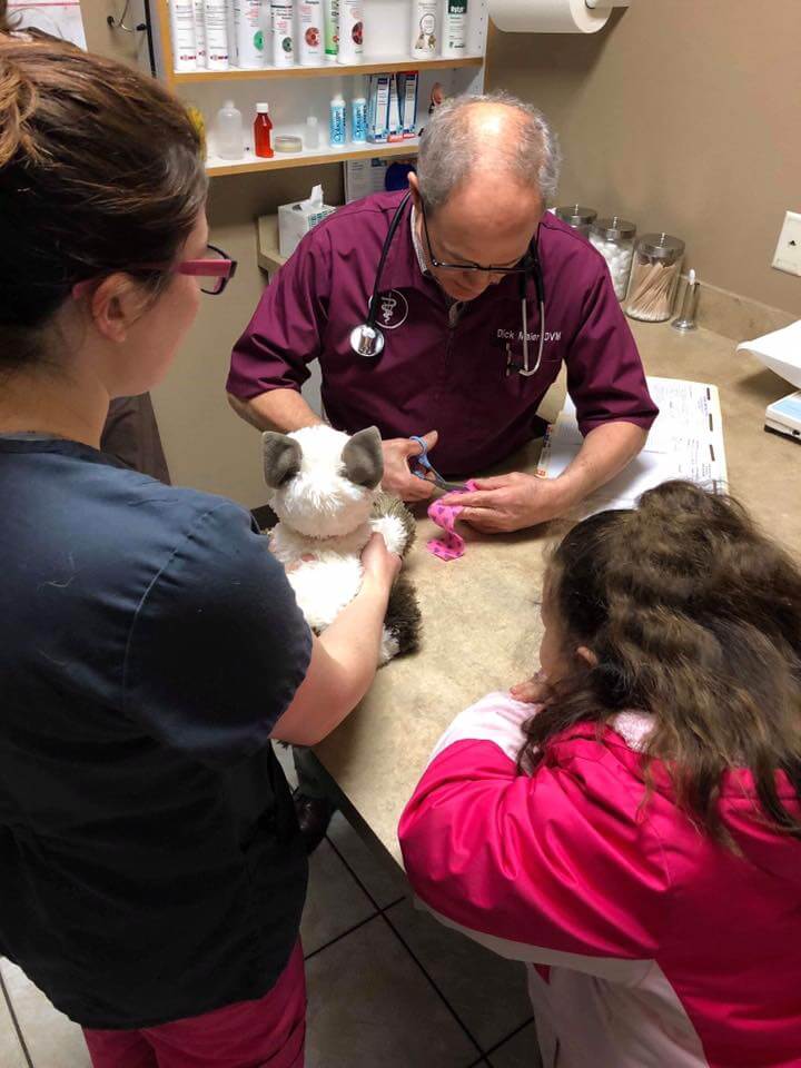 sabiaspalavras.com - Veterinário trata gato de peluche "doente" de menina autista