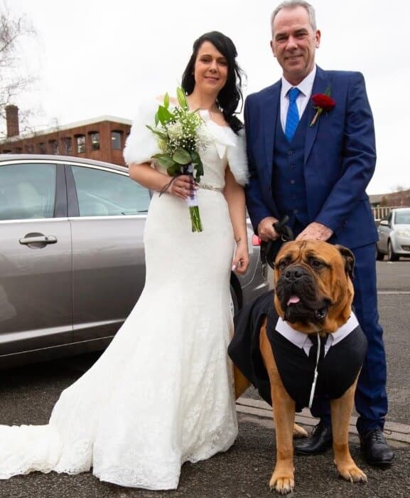 sabiaspalavras.com - Casal antecipa casamento para que cachorro com doença terminal possa participar