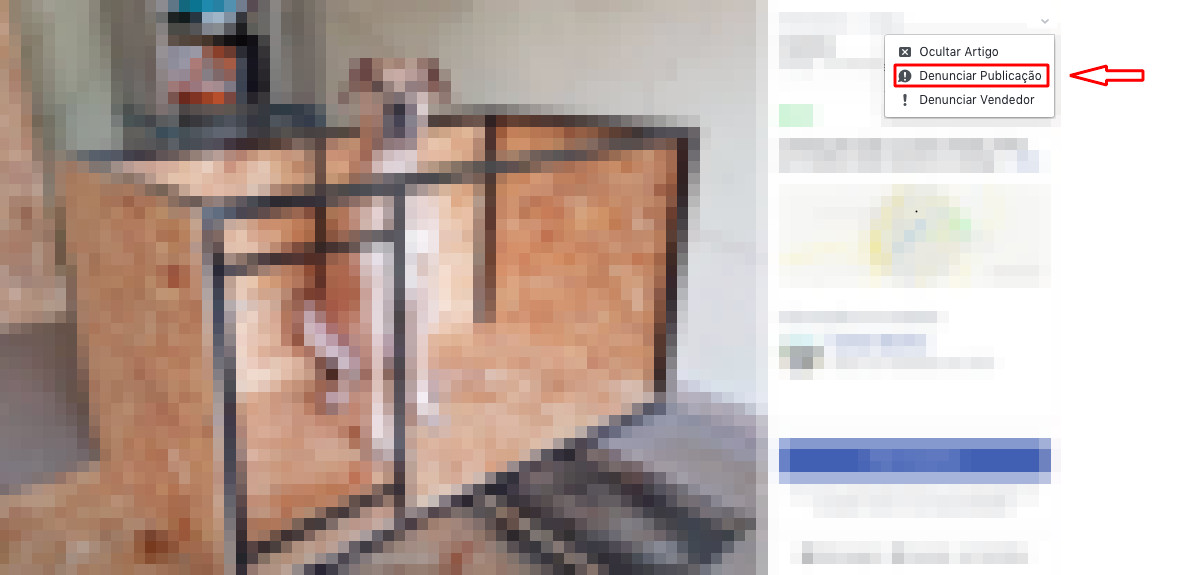 sabiaspalavras.com - Facebook pro&iacute;be publica&ccedil;&otilde;es que promovam a venda de animais