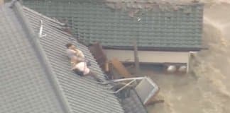 Casal vítima de enchente recusa-se a deixar seus dois cachorros para trás
