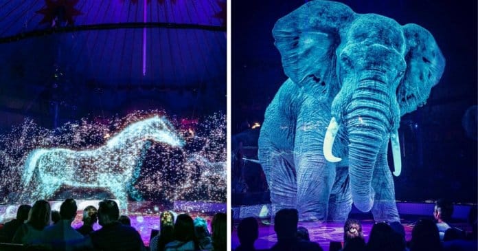 Circo alemão recusa-se a maltratar animais. Eles criam hologramas majestosos para admirá-los