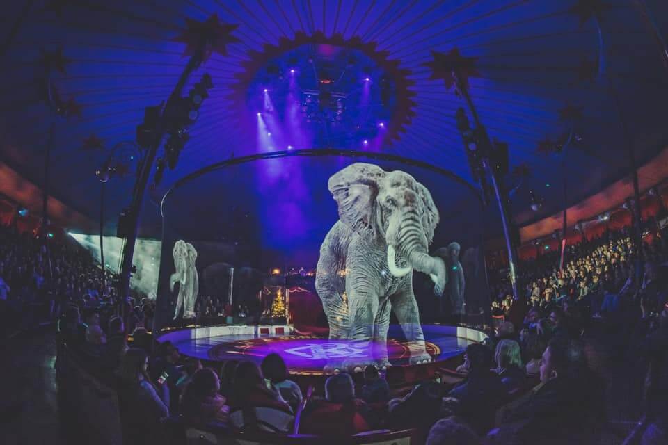 sabiaspalavras.com - Circo alemão recusa-se a maltratar animais. Eles criam hologramas majestosos para admirá-los