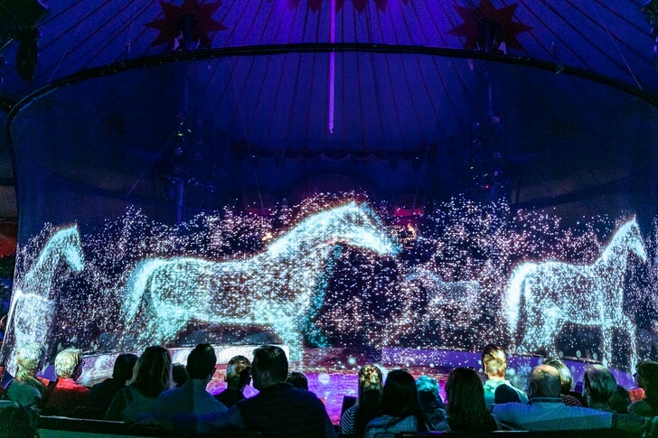 sabiaspalavras.com - Circo alemão recusa-se a maltratar animais. Eles criam hologramas majestosos para admirá-los