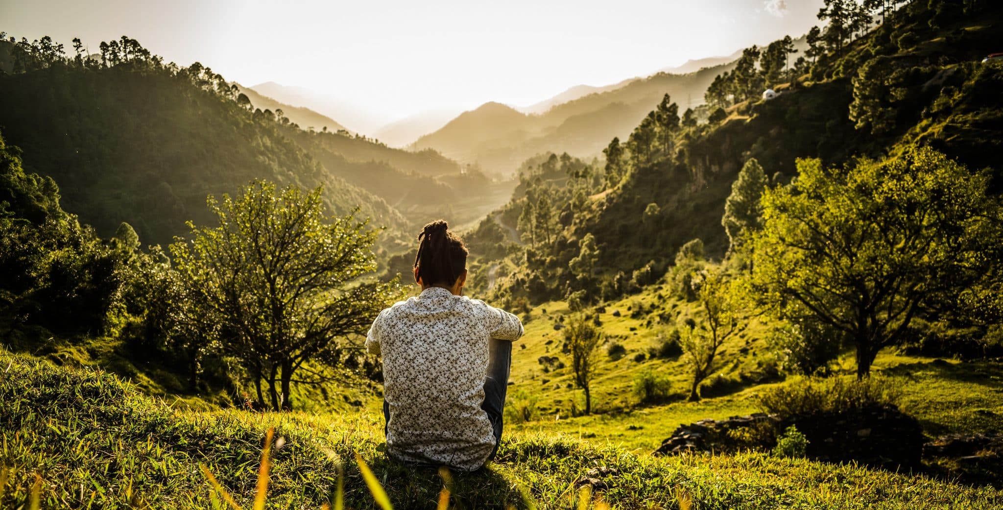 sabiaspalavras.com - Ecoterapia - o tratamento natural que pode salvar vidas