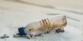 Europa irá proibir definitivamente plástico descartável a partir de 2021