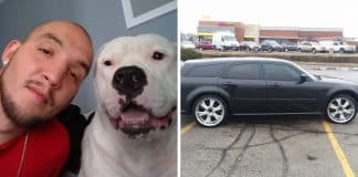 Homem coloca carro à venda para tentar salvar o seu cachorro