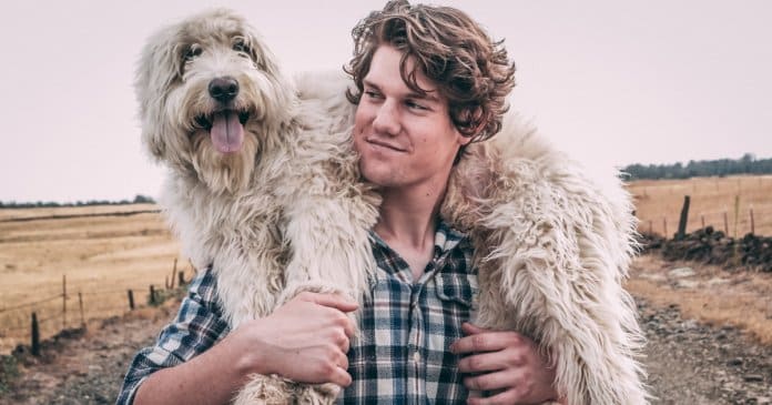 quem-tem-um-cachorro-em-sua-vida-tem-um-tesouro Quem tem um cachorro em sua vida tem um tesouro