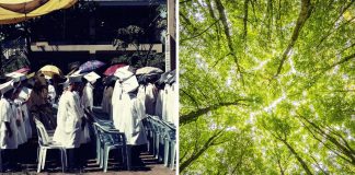 Filipinas aprova lei que exige que os estudantes plantem 10 árvores para se formarem