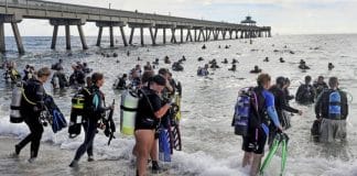 633 mergulhadores batem record mundial de limpeza submarina