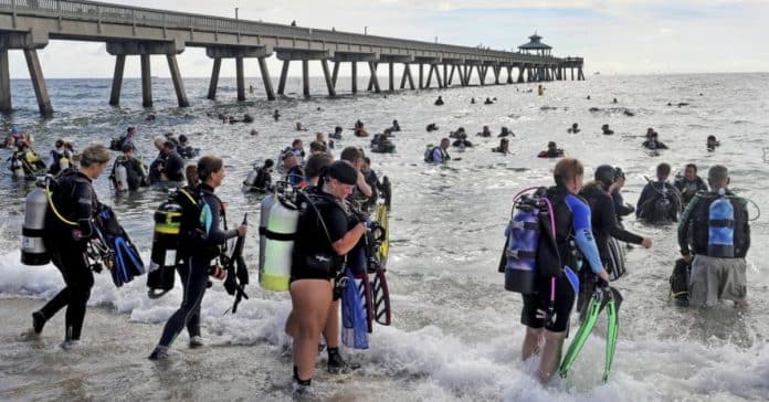 633 mergulhadores batem record mundial de limpeza submarina