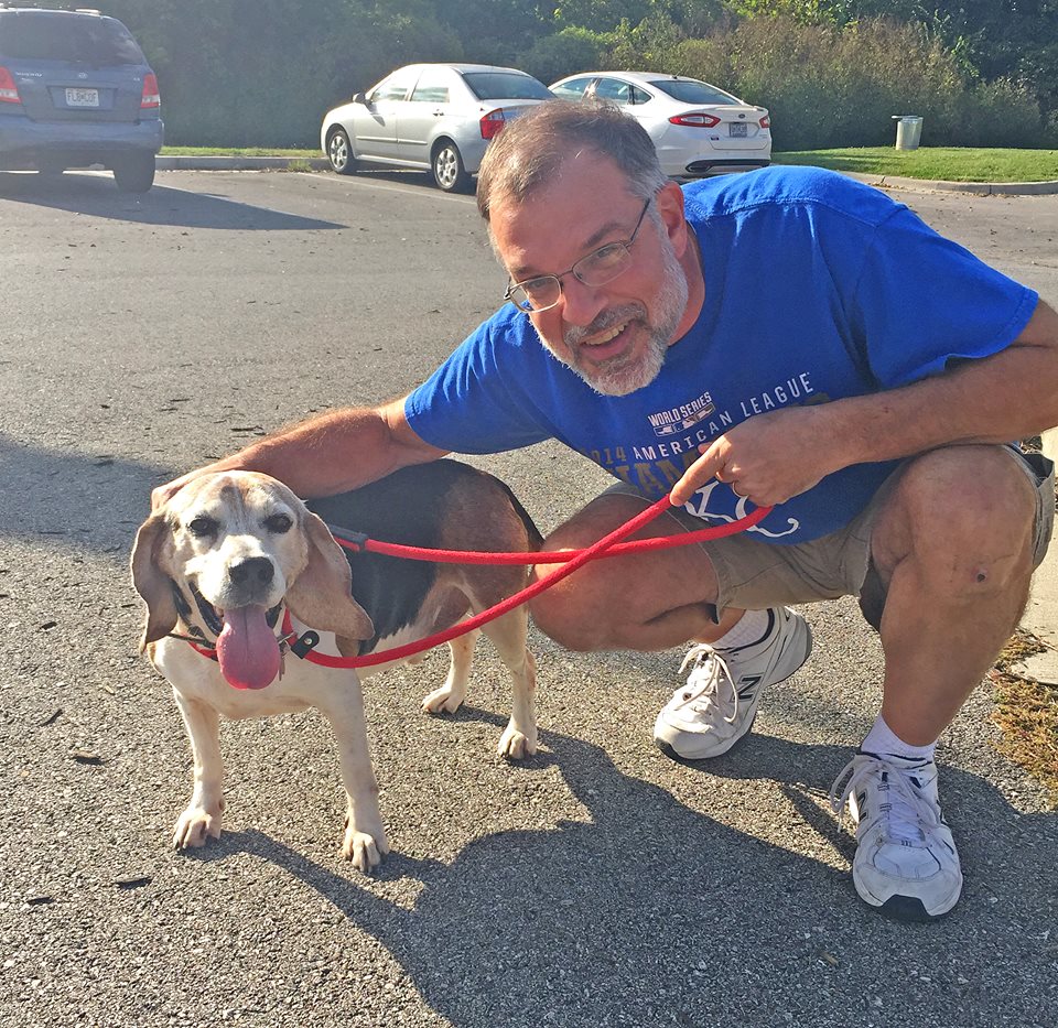 sabiaspalavras.com - Homem cria santuário para cachorros idosos abandonados poderem viver bem os seus últimos anos de vida