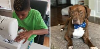 Menino cria laços elegantes para ajudar cachorros e gatos de abrigos a encontrarem novas famílias