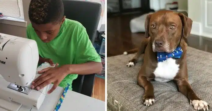 menino-cria-lacos-elegantes-para-ajudar-cachorros-e-gatos-de-abrigos-a-encontrarem-novas-familias Menino cria laços elegantes para ajudar cachorros e gatos de abrigos a encontrarem novas famílias