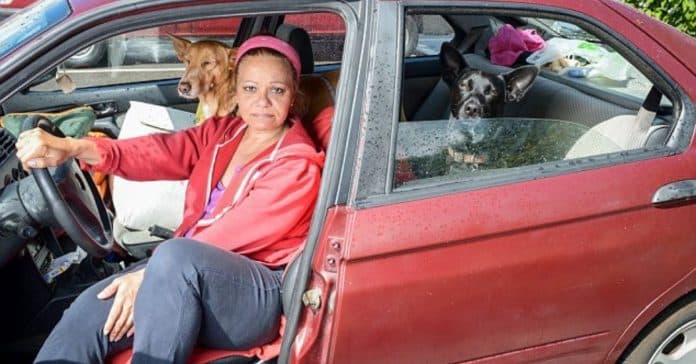Mulher opta por viver no seu carro para não ter de abandonar os seus cachorros