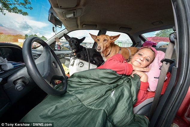 sabiaspalavras.com - Mulher opta por viver no seu carro para não ter de abandonar os seus cachorros