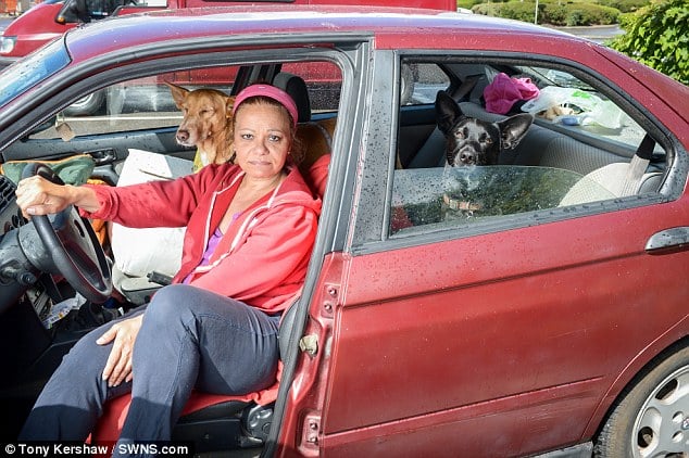 sabiaspalavras.com - Mulher opta por viver no seu carro para não ter de abandonar os seus cachorros