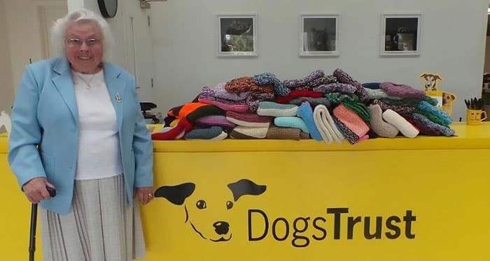 sabiaspalavras.com - Aos 89 anos, mulher faz mantas e camisolas de malha para cachorros de abrigos