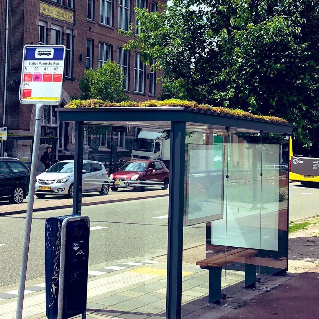 sabiaspalavras.com - Holanda transforma paragens de ônibus em pequenos jardins para abelhas