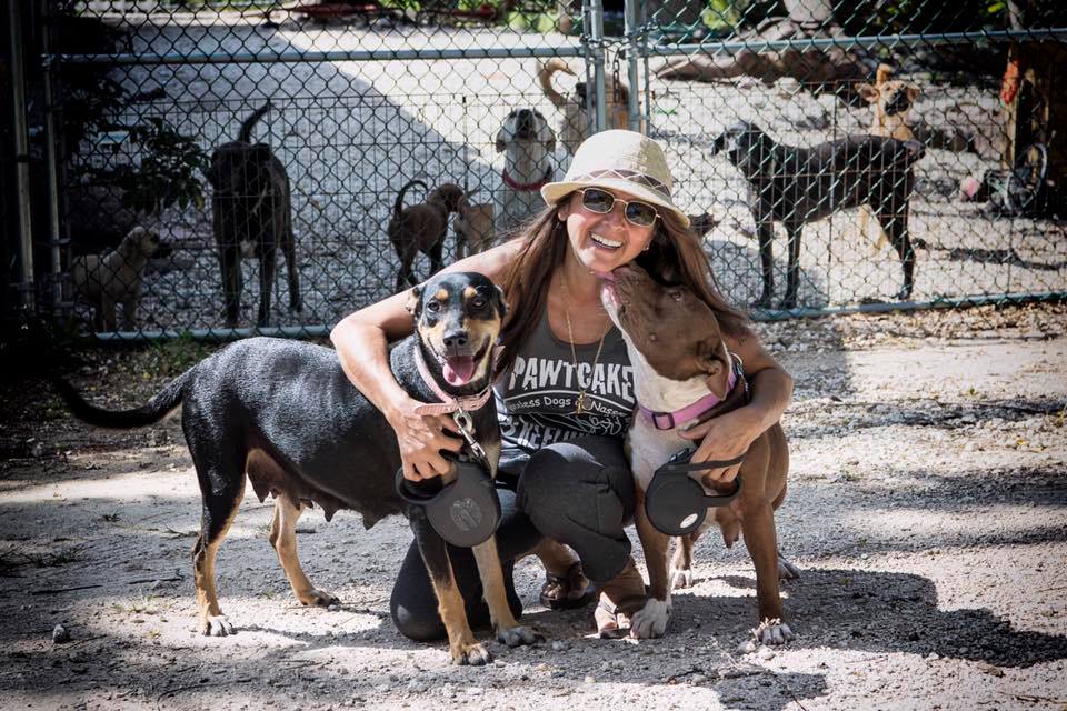 sabiaspalavras.com - Mulher salva 97 cachorros durante furacão nas Bahamas ao abrigá-los na sua própria casa