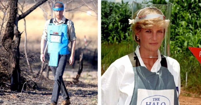 Príncipe Harry segue passos da mãe ao visitar campo de minas em Angola