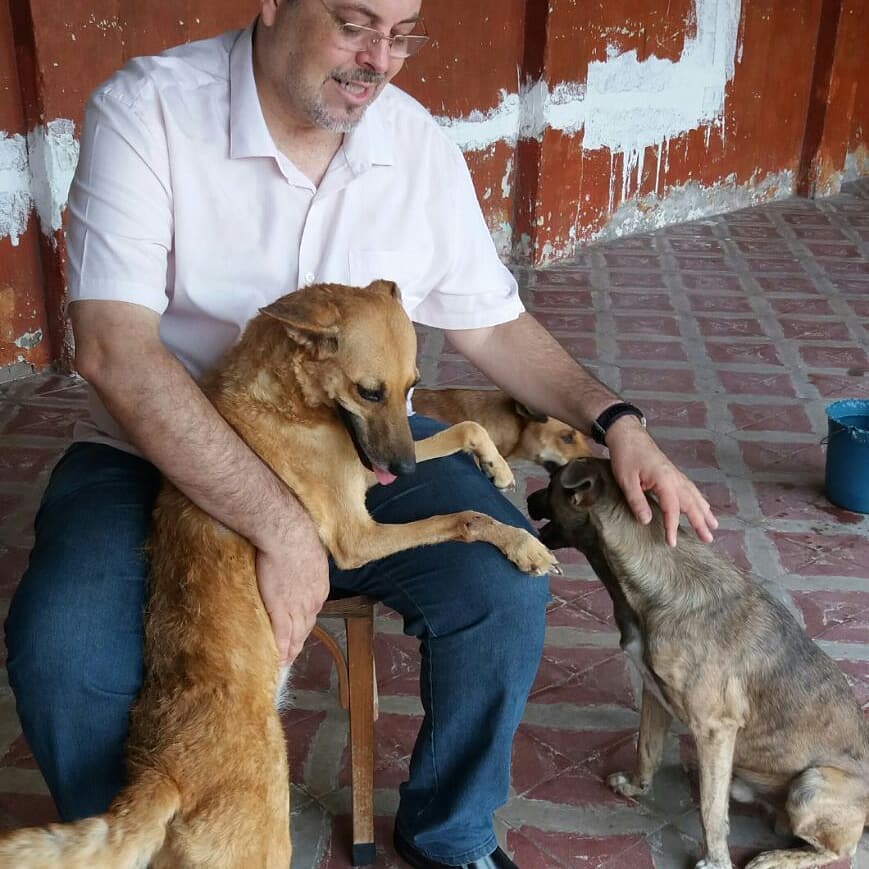 sabiaspalavras.com - Padre brasileiro deixa que cães abandonados entrem na igreja para encontrarem novas famílias