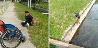 Homem salta de cadeira de rodas para salvar gatinho