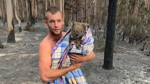 sabiaspalavras.com - Jovem australiano arrisca a vida para salvar coalas de incêndio