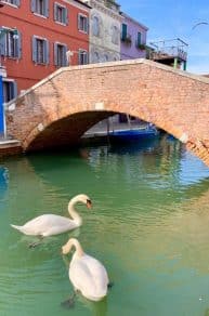 sabiaspalavras.com - Água dos canais de Veneza limpa pela primeira vez em décadas