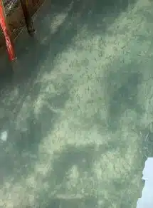 Água dos canais de Veneza limpa pela primeira vez em décadas sabiaspalavras.com - Água dos canais de Veneza limpa pela primeira vez em décadas