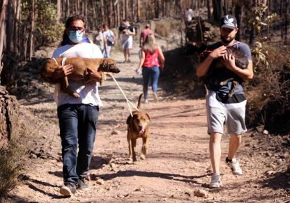 sabiaspalavras.com - Centenas de pessoas se juntam para salvar cachorros presos em canil ilegal em chamas em Portugal