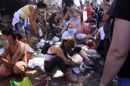 sabiaspalavras.com - Centenas de pessoas se juntam para salvar cachorros presos em canil ilegal em chamas em Portugal