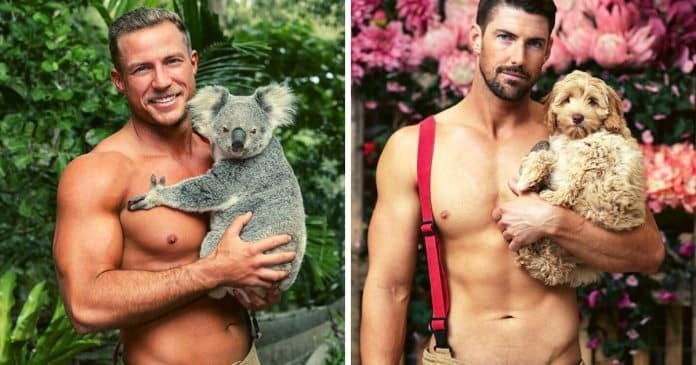 Calendário dos bombeiros australianos 2022 exibe esses heróis com animais adoráveis