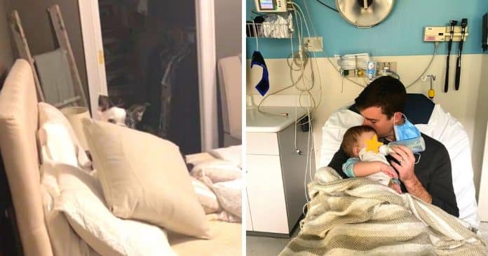 Cão arromba berço de bebê doente que tinha parado de respirar: salvou sua vida