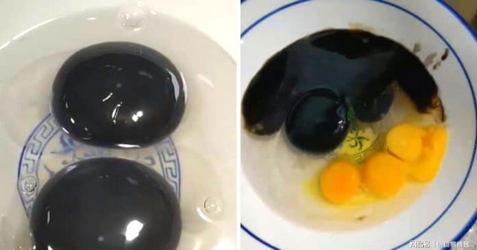 Especialistas estão confusos com ganso que supostamente põe ovos de gema preta
