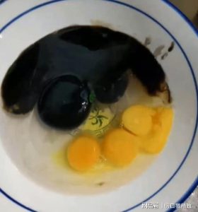 sabiaspalavras.com - Especialistas estão confusos com ganso que supostamente põe ovos de gema preta