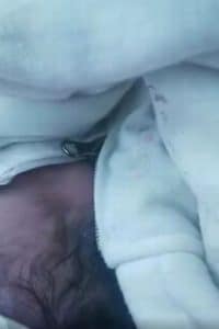 sabiaspalavras.com - Bebê prematuro é abandonado em uma caixa de papelão na neve com um bilhete comovente da mãe