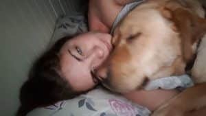 sabiaspalavras.com - Ela sobreviveu ao câncer pois seu Labrador "herói" salvou sua vida "farejando" o tumor