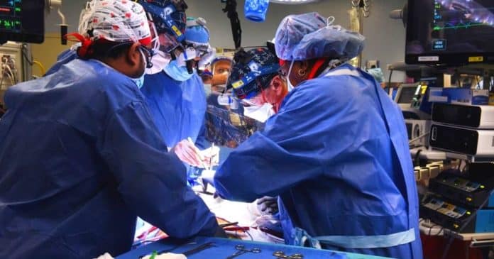 Homem recebe primeiro transplante de coração de porco: salvou sua vida