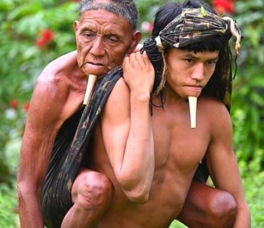 Jovem indígena carregou seu pai nas costas por 6 horas para receber a vacina