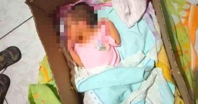 Homem ouve choro, resgata bebê abandonada em lixeira e espera adotá-la