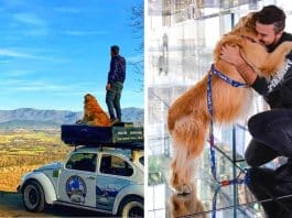 Imagens mostram fusca destruído após acidente que matou influenciador brasileiro e cachorro