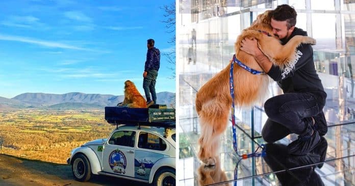 Imagens mostram fusca destruído após acidente que matou influenciador brasileiro e cachorro