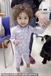 sabiaspalavras.com - VÍDEO: Bebê volta a andar milagrosamente após quebrar a coluna vertebral em acidente de carro