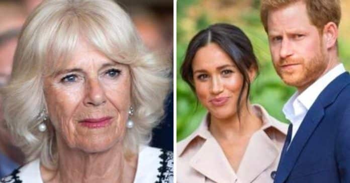 Alegações chocantes expõem que a realeza fez comentários “racistas” de filho de Harry e Meghan