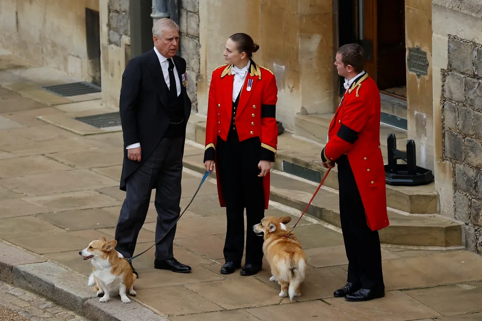 sabiaspalavras.com - O caixão da rainha passa por seus amados corgis enquanto a monarca é enterrada