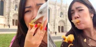 Gaivota rouba comida da boca de mulher e ela acha que é um ‘sinal de Deus’ para perder peso