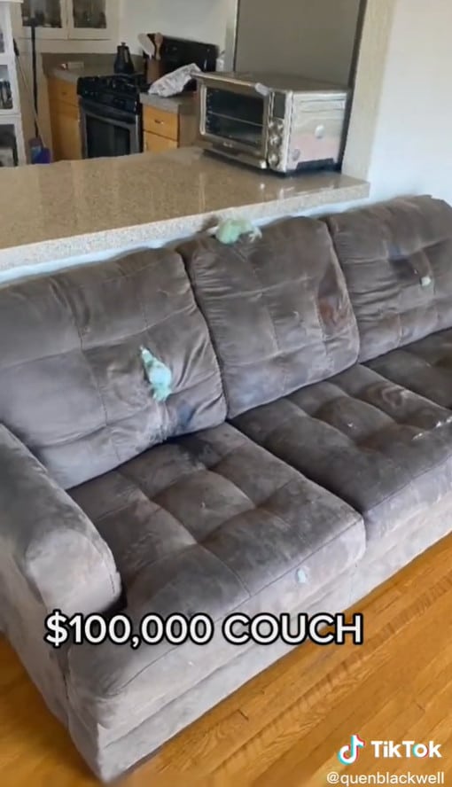 sabiaspalavras.com - Influencer compra sofá por 530.000,00 reais pensando que era brincadeira