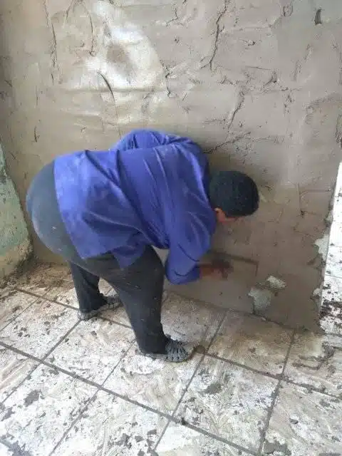 Jovem mulher projeta e constrói sozinha sua própria casa sabiaspalavras.com - Jovem mulher projeta e constrói sozinha sua própria casa